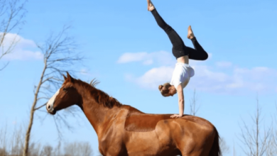 What are the Basic Moves in Equestrian Vaulting?