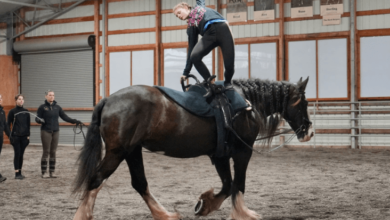 How can I train my horse for cross-country riding?