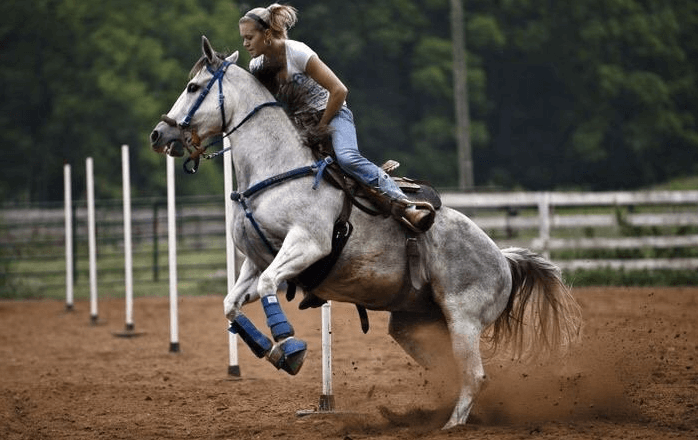 How can I teach my horse pole bending?