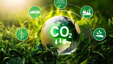 How Zero Carbon Energy is Powering the Future Without the Pollution