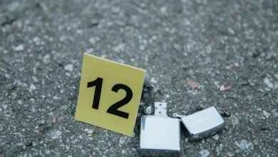 phone number analysis report