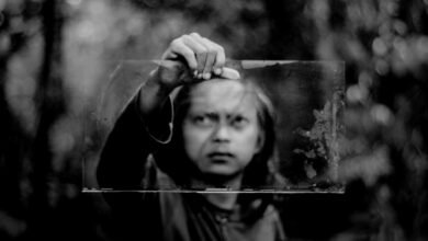 compliance insights for accounts