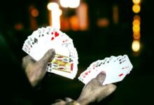 performance oversight ledger summary