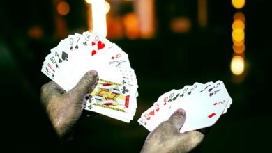 performance oversight ledger summary