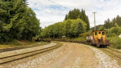 service activation for numbers