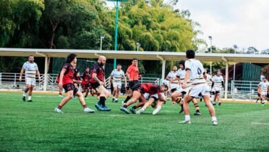 strategic activity overview report