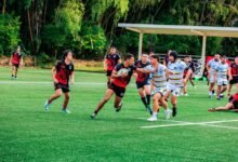 strategic performance ledger analysis