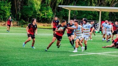 strategic performance ledger analysis