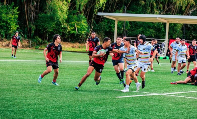 strategic performance ledger analysis